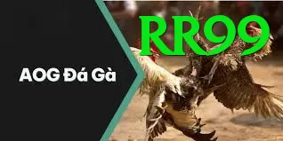 Đá Gà Trực Tiếp - rr99 - Boss thế giới
